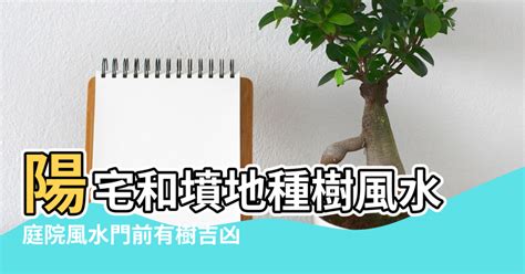 庭院風水樹|【風水學種樹知識】植物風水學知識 